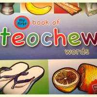 My First Book of Teochew Words